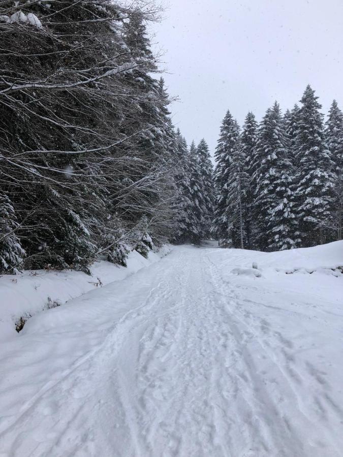 Studio Fondue Chocolat, 100M Des Pistes Wifi Fibre, Parking Prive Берне Екстер'єр фото